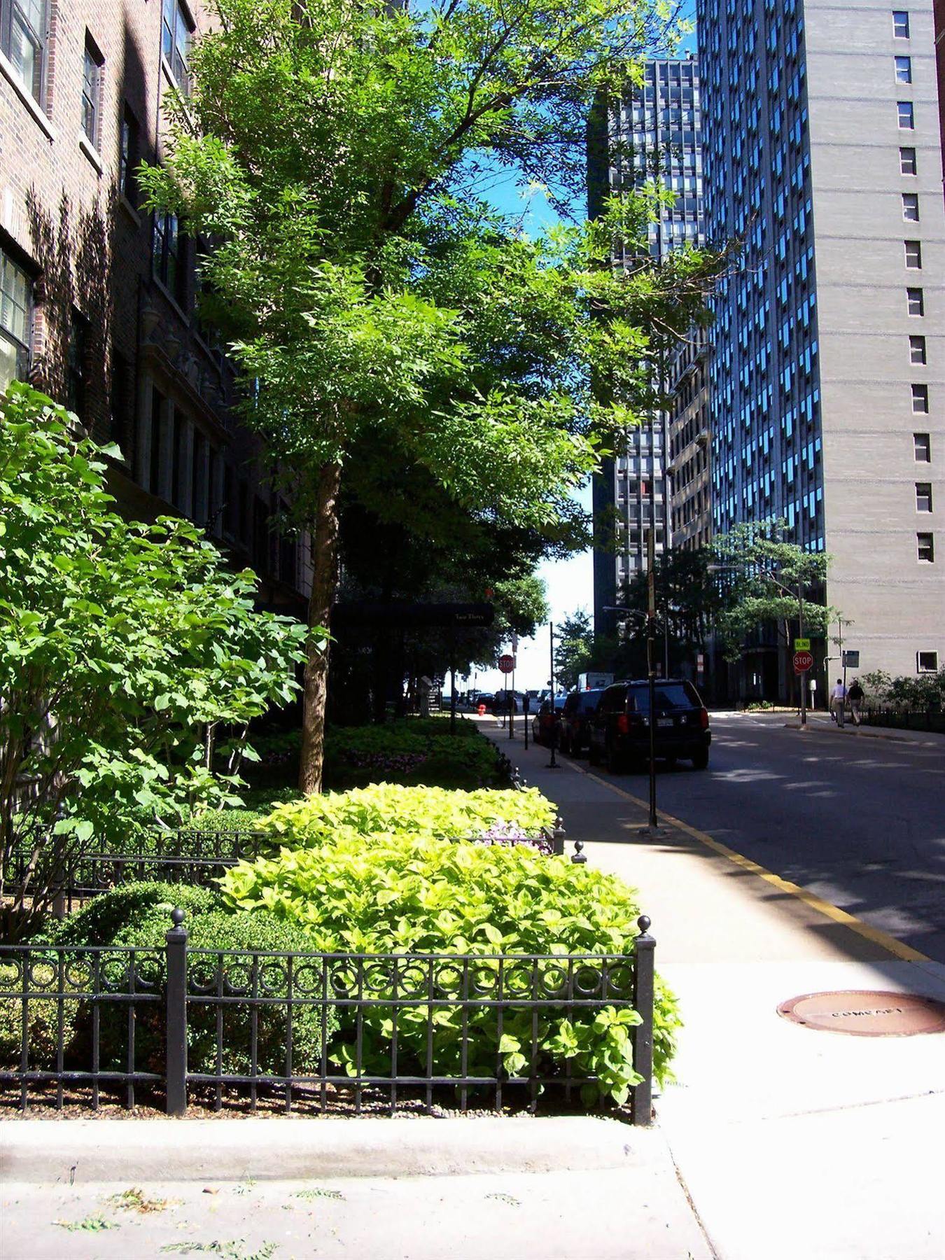 Dewitt Hotel And Suites Chicago Kültér fotó